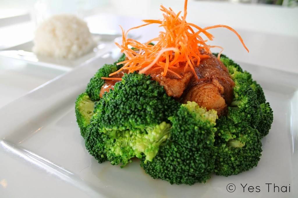 Yes Thai | restaurant | 5211 N Damen Ave, Chicago, IL 60625, USA | 7738783487 OR +1 773-878-3487