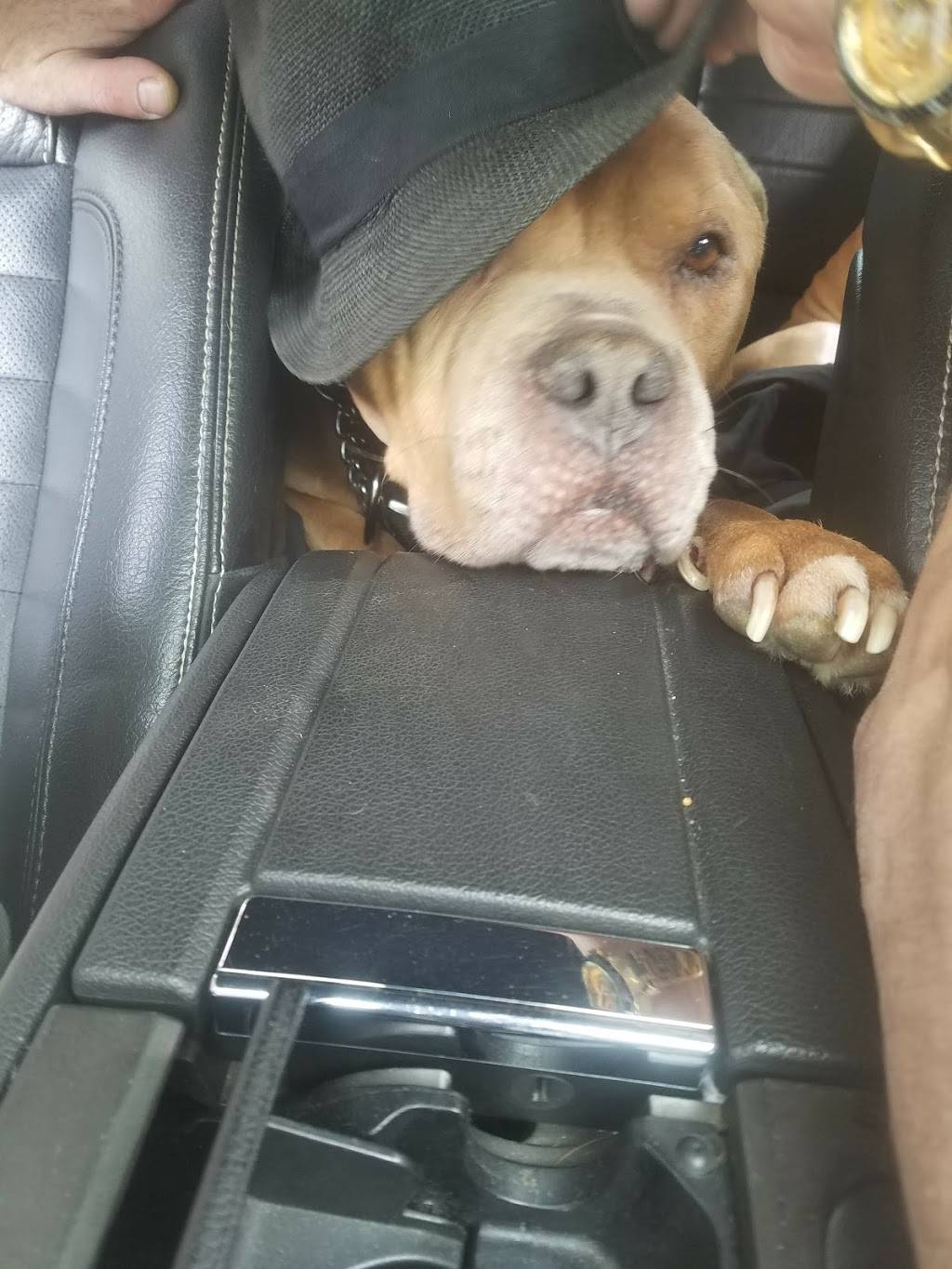 Stone Meadow Inn | restaurant | 23 Seven Lakes Dr, Sloatsburg, NY 10974, USA | 8457532662 OR +1 845-753-2662