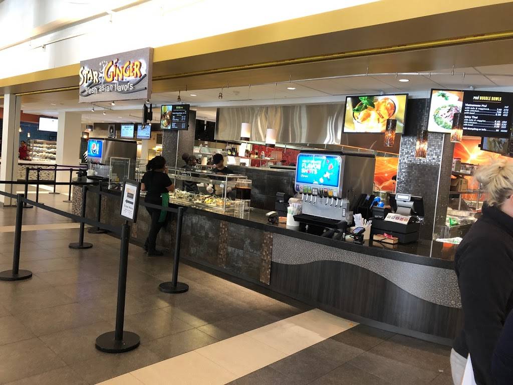 Star Ginger | restaurant | 1400 Washington Ave, Albany, NY 12222, USA | 5184425985 OR +1 518-442-5985