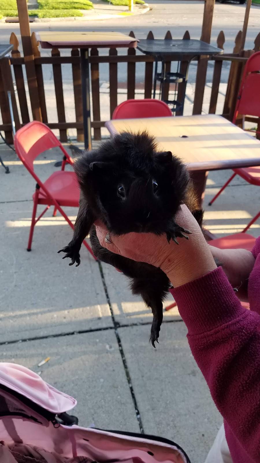 Red Carpet Tavern | restaurant | 3301 Wayne Ave, Dayton, OH 45420, USA | 9372589521 OR +1 937-258-9521