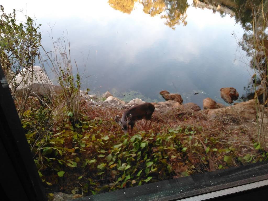 Starbucks | cafe | 1982 Pleasant Valley Blvd, Oakland, CA 94611, USA | 5104500200 OR +1 510-450-0200