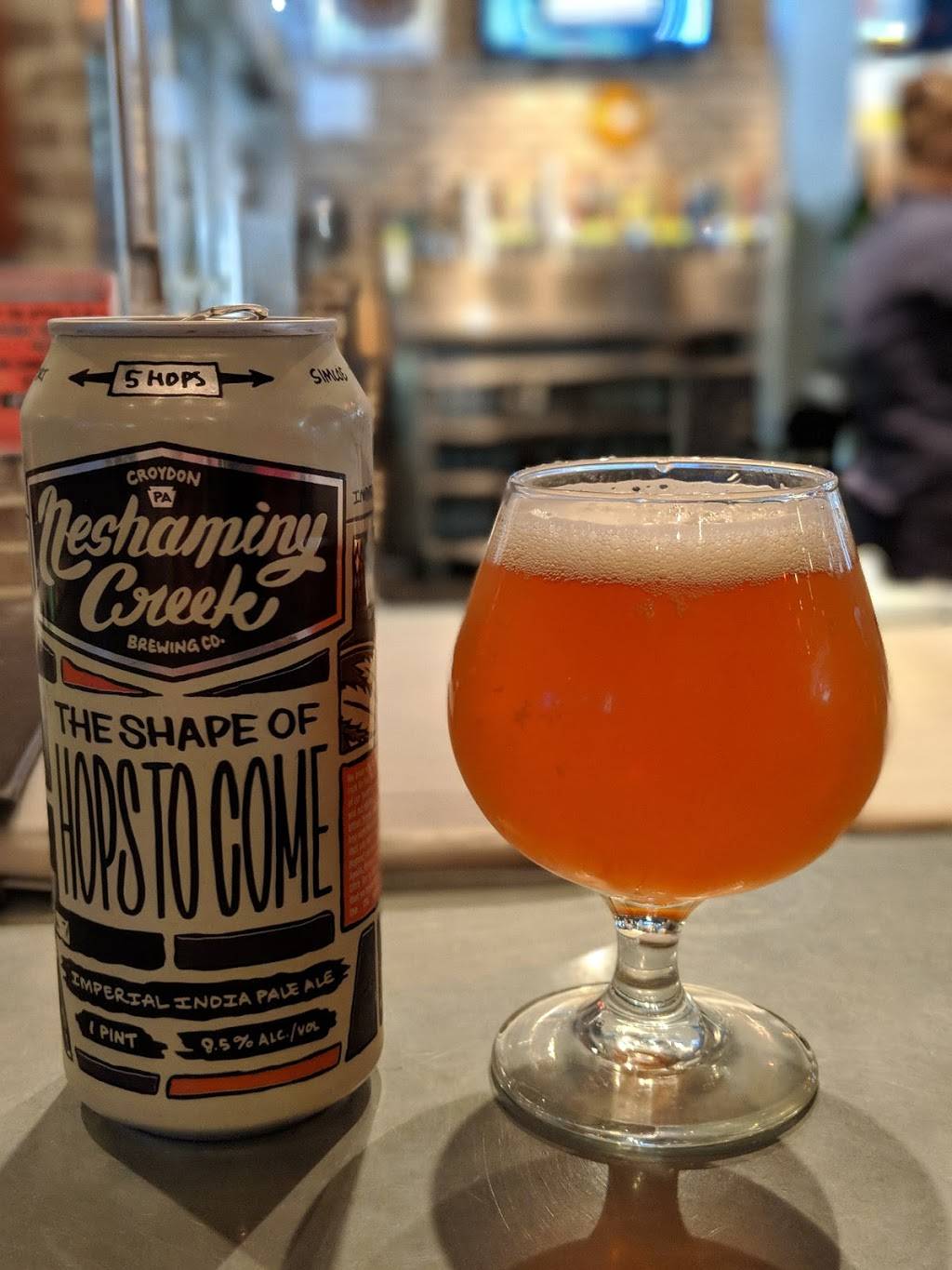 Mikes Beer Bar | restaurant | Boggs Building LP, 110 Federal St, Pittsburgh, PA 15212, USA | 4123222337 OR +1 412-322-2337