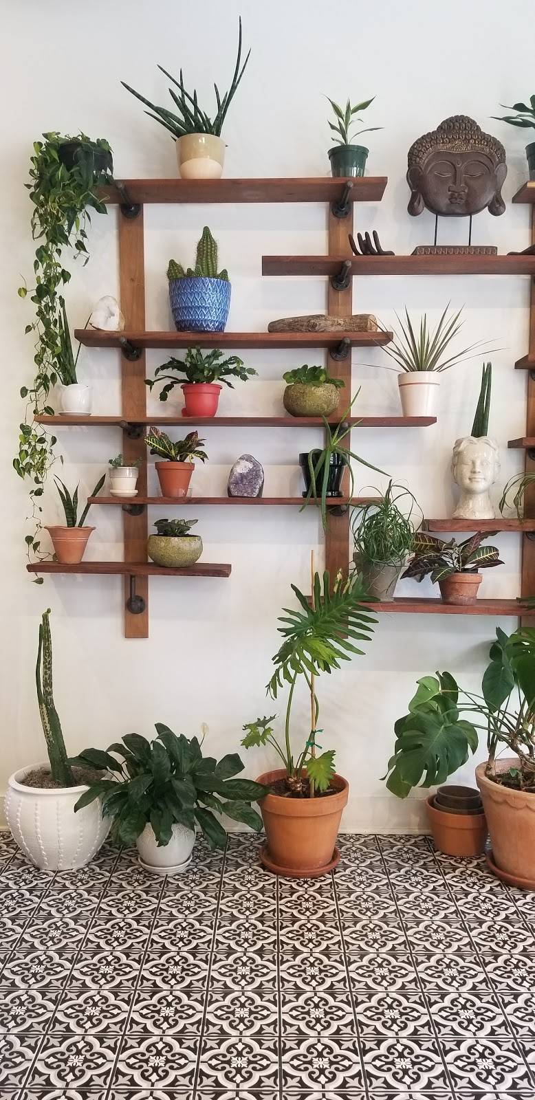 Southern Squeeze - Downtown | restaurant | 818 Georgia Ave #114, Chattanooga, TN 37402, USA | 4237603777 OR +1 423-760-3777