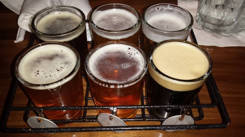 Lazy Dog Restaurant & Bar | restaurant | 1202 Camino Del Rio N, San Diego, CA 92108, USA | 6194816191 OR +1 619-481-6191