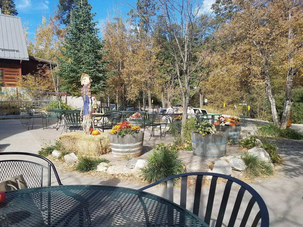 Mt Lemmon Cookie Cabin | bakery | 12781 N Sabino Canyon Park, Mt Lemmon, AZ 85619, USA | 5205761010 OR +1 520-576-1010