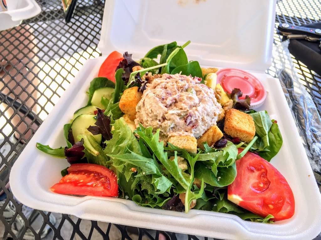 Marker 8 | restaurant | 1420 Bayshore Blvd, Dunedin, FL 34698, USA | 7277385000 OR +1 727-738-5000