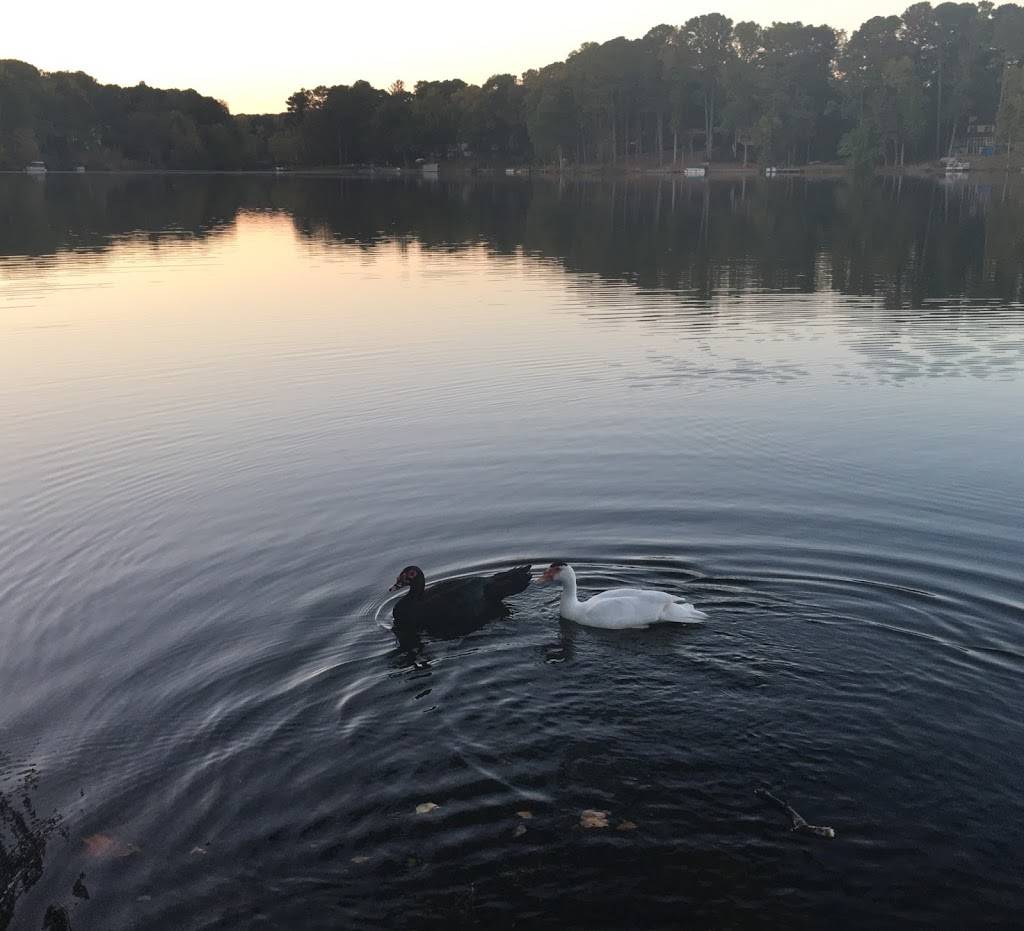 Alcove Coffeehouse | cafe | 4615 Stone Mountain Hwy, Lilburn, GA 30047, USA | 7709793030 OR +1 770-979-3030