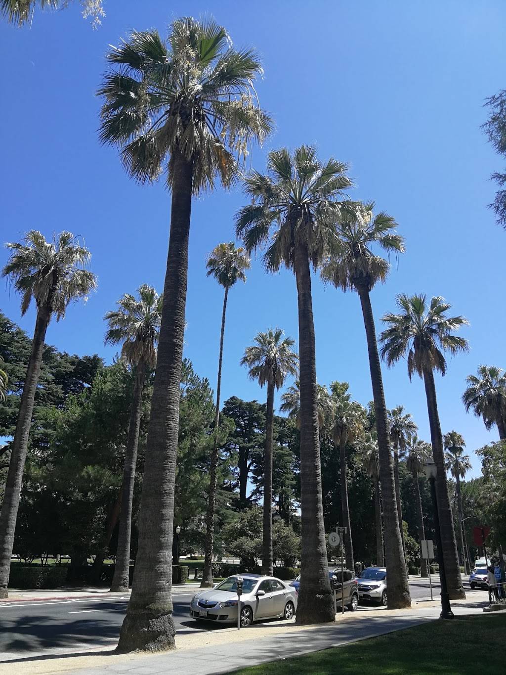 Starbucks | cafe | 1003 L St, Sacramento, CA 95814, USA | 9169300140 OR +1 916-930-0140