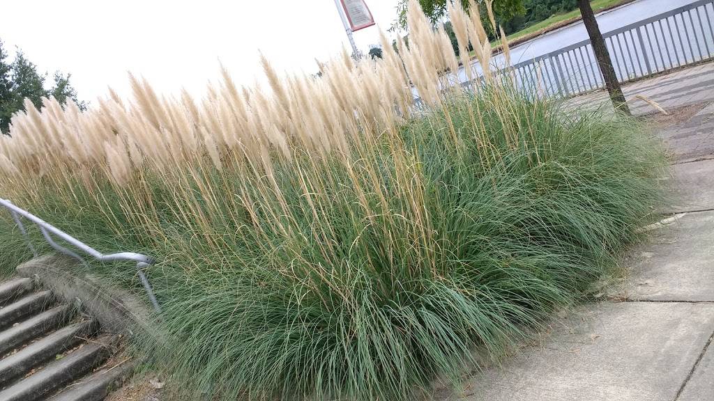 Bladensburg Waterfront Park | restaurant | 4601 Annapolis Rd, Bladensburg, MD 20710, USA | 3017790371 OR +1 301-779-0371