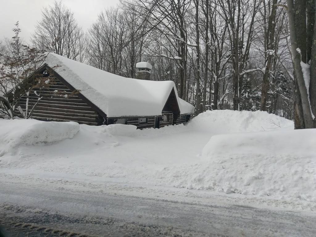 Summit Lodge | restaurant | 39 Mount Snow Road, West Dover, VT 05356, USA | 8024641100 OR +1 802-464-1100