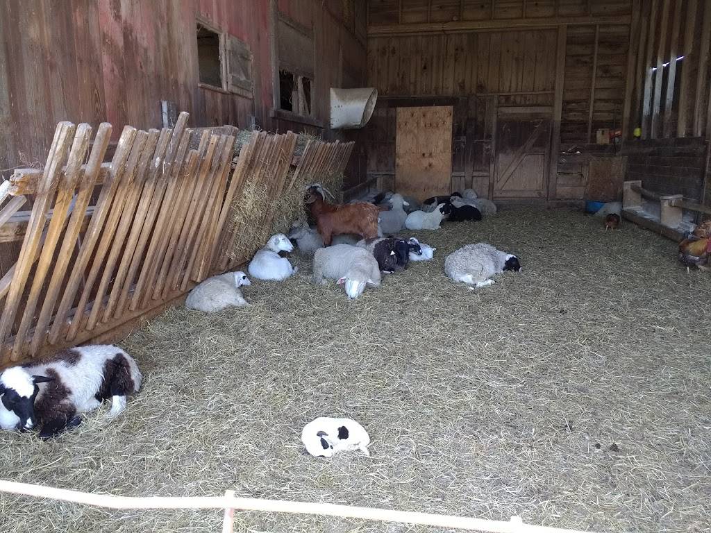 Dey Farm at Oliveira Acres | restaurant | 215 Dey Rd, Cranbury Township, NJ 08512, USA | 6093950232 OR +1 609-395-0232