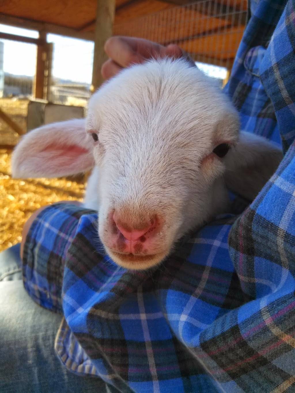 Lockewood Acres | restaurant | 7781 Locke Rd, Vacaville, CA 95688, USA | 7076240831 OR +1 707-624-0831