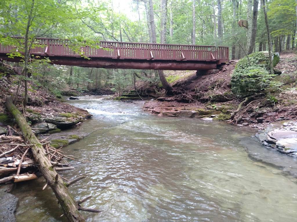 Nussys | restaurant | 57 Ravine Dr, Round Top, NY 12473, USA | 5186229584 OR +1 518-622-9584