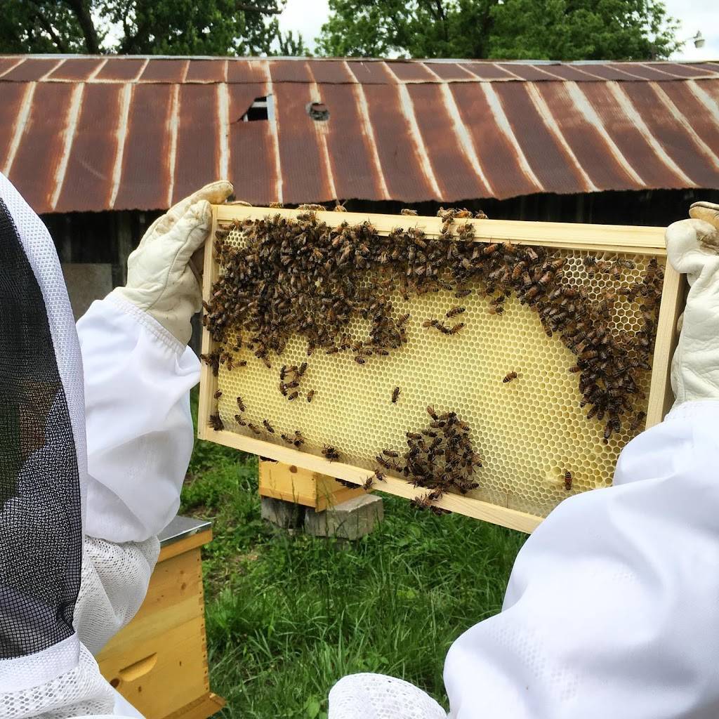 The Ozark Mill at Finley Farms | restaurant | 802 Finley Farms Lane, Ozark, MO 65721, USA | 4172106690 OR +1 417-210-6690