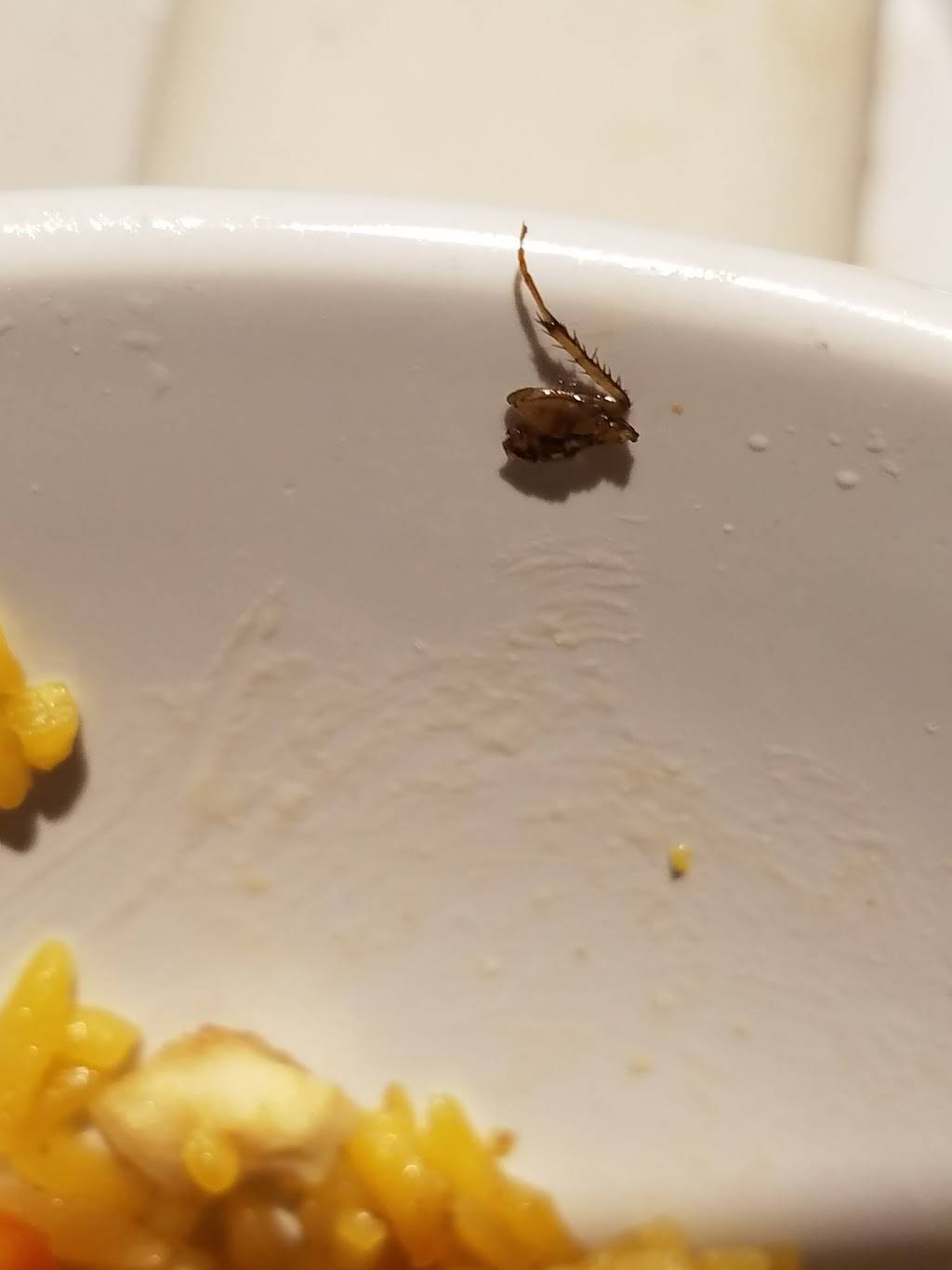 China House | restaurant | 10942 Pembroke Rd, Miramar, FL 33025, USA | 9544504898 OR +1 954-450-4898