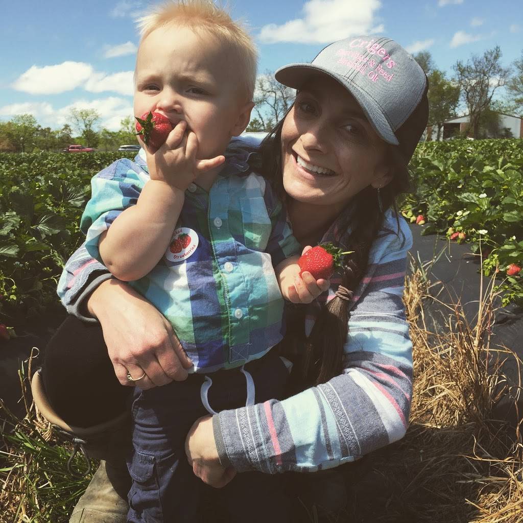 Bennys Berries | restaurant | 2136 N 100 Rd, Wellsville, KS 66092, USA | 9133136273 OR +1 913-313-6273