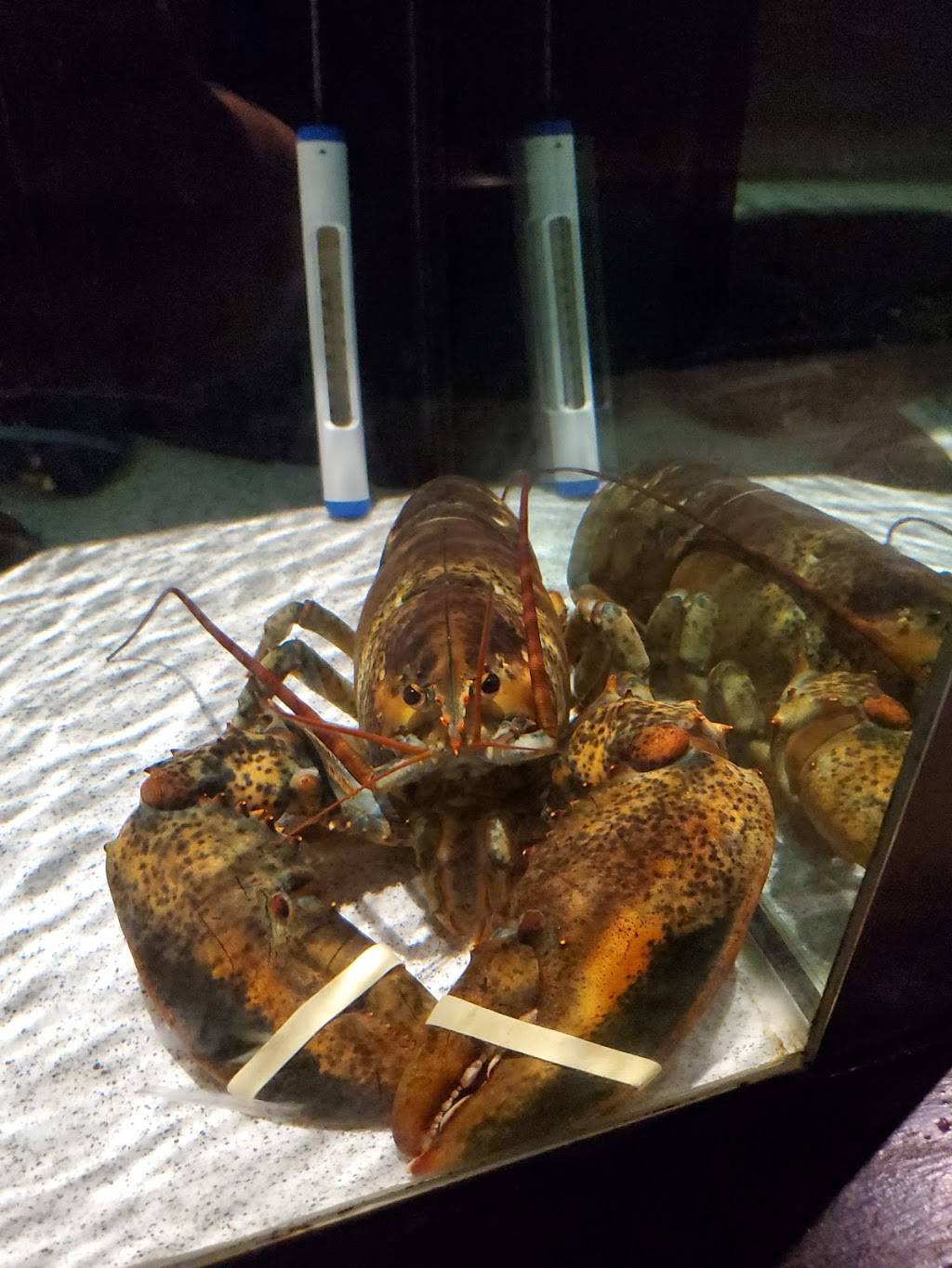 Red Lobster | restaurant | 203 Three Rivers Dr, Kelso, WA 98626, USA | 3604148118 OR +1 360-414-8118