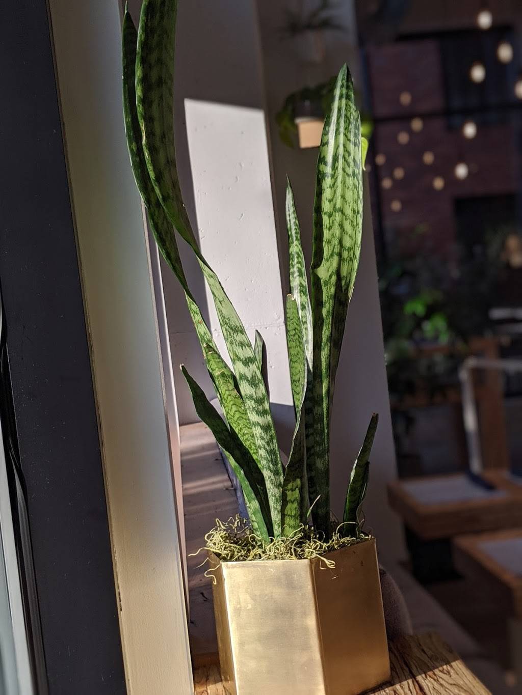 Mama Bird | restaurant | 2145 NW Raleigh St, Portland, OR 97210, USA | 5033842064 OR +1 503-384-2064