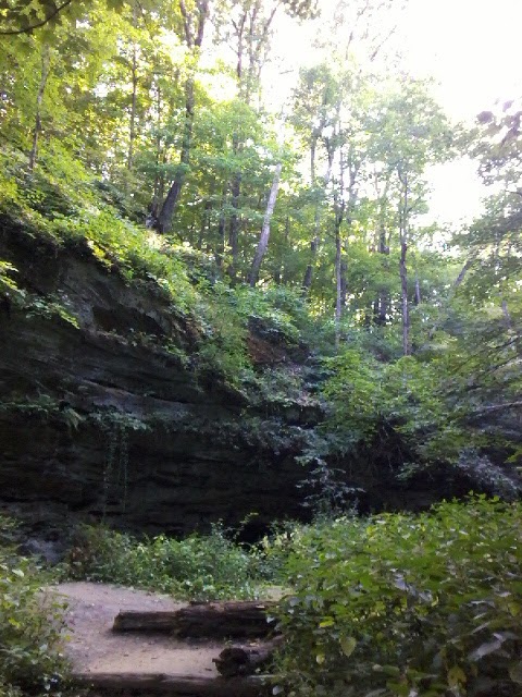 Shell | restaurant | 1102 W Front St, Buffalo, IA 52728, USA | 7792455329 OR +1 779-245-5329