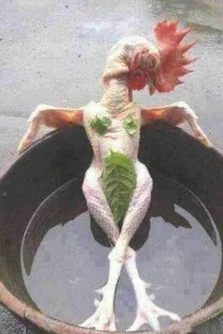 KFC | restaurant | 150 Harvard Blvd, Santa Paula, CA 93060, USA | 8055255014 OR +1 805-525-5014