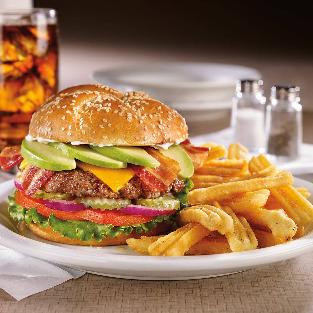 Dennys | restaurant | 126 East N Frontage Rd, Bolingbrook, IL 60440, USA | 6307394045 OR +1 630-739-4045