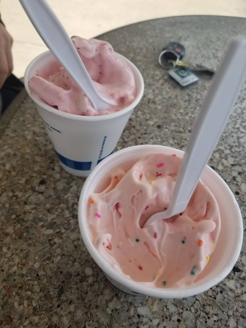 Ritters Frozen Custard Livonia | restaurant | 31227 W 8 Mile Rd, Livonia, MI 48152, USA | 2484764571 OR +1 248-476-4571