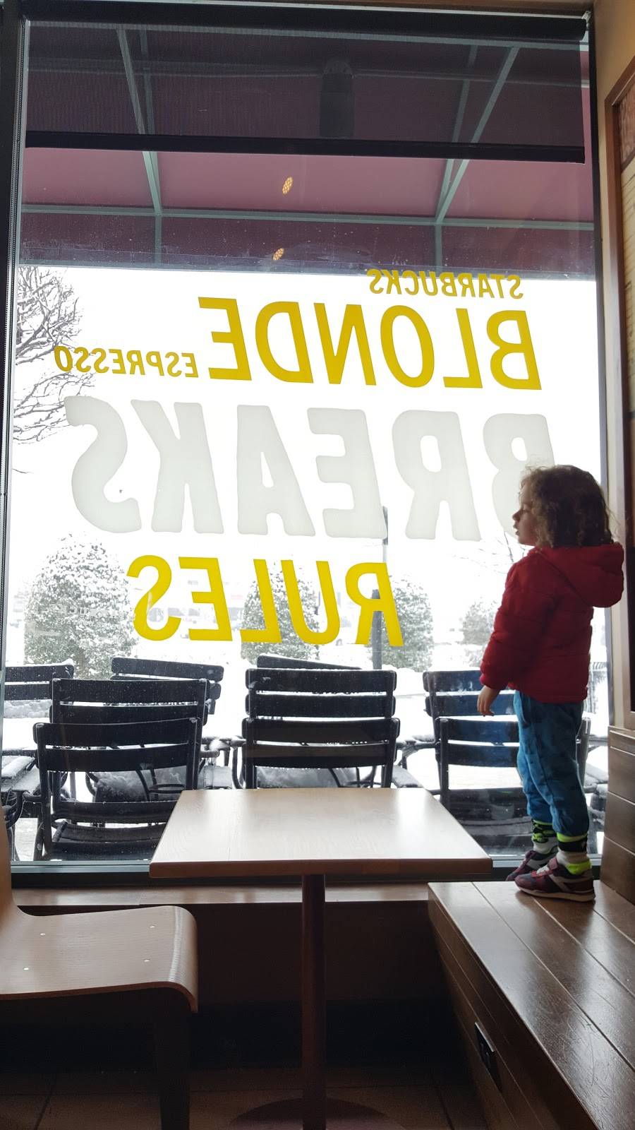 Starbucks | cafe | 11610-A Plaza America Dr, Reston, VA 20190, USA | 7034813485 OR +1 703-481-3485