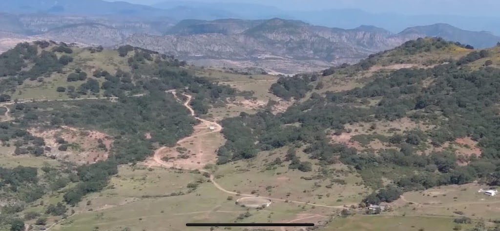 Juanitos Mexican Restaurant | restaurant | 10245 Harry Hines Blvd, Dallas, TX 75220, USA | 4696202830 OR +1 469-620-2830