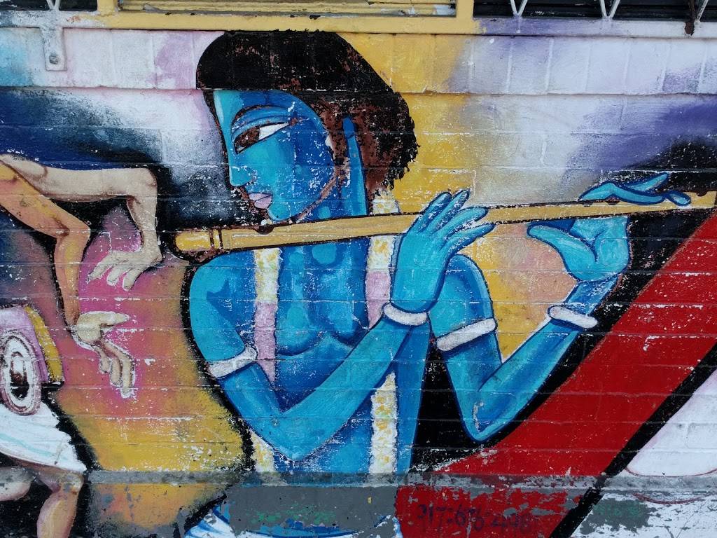 Nios Roti Shop | restaurant | 2702 Church Ave, Brooklyn, NY 11226, USA | 7182879848 OR +1 718-287-9848