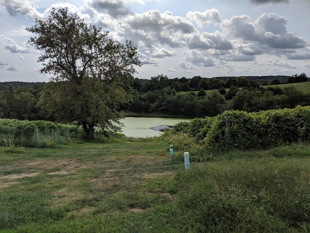 Cedar Ridge Winery & Distillery | restaurant | 1441 Marak Rd NW, Swisher, IA 52338, USA | 3198574300 OR +1 319-857-4300