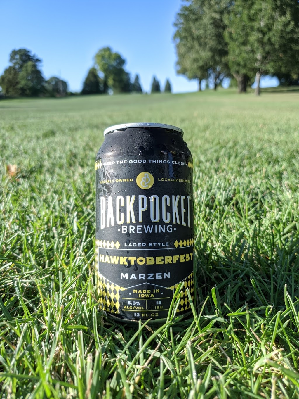 Waverly Golf & Country Club | restaurant | 705 8th St SW, Waverly, IA 50677, USA | 3193523855 OR +1 319-352-3855