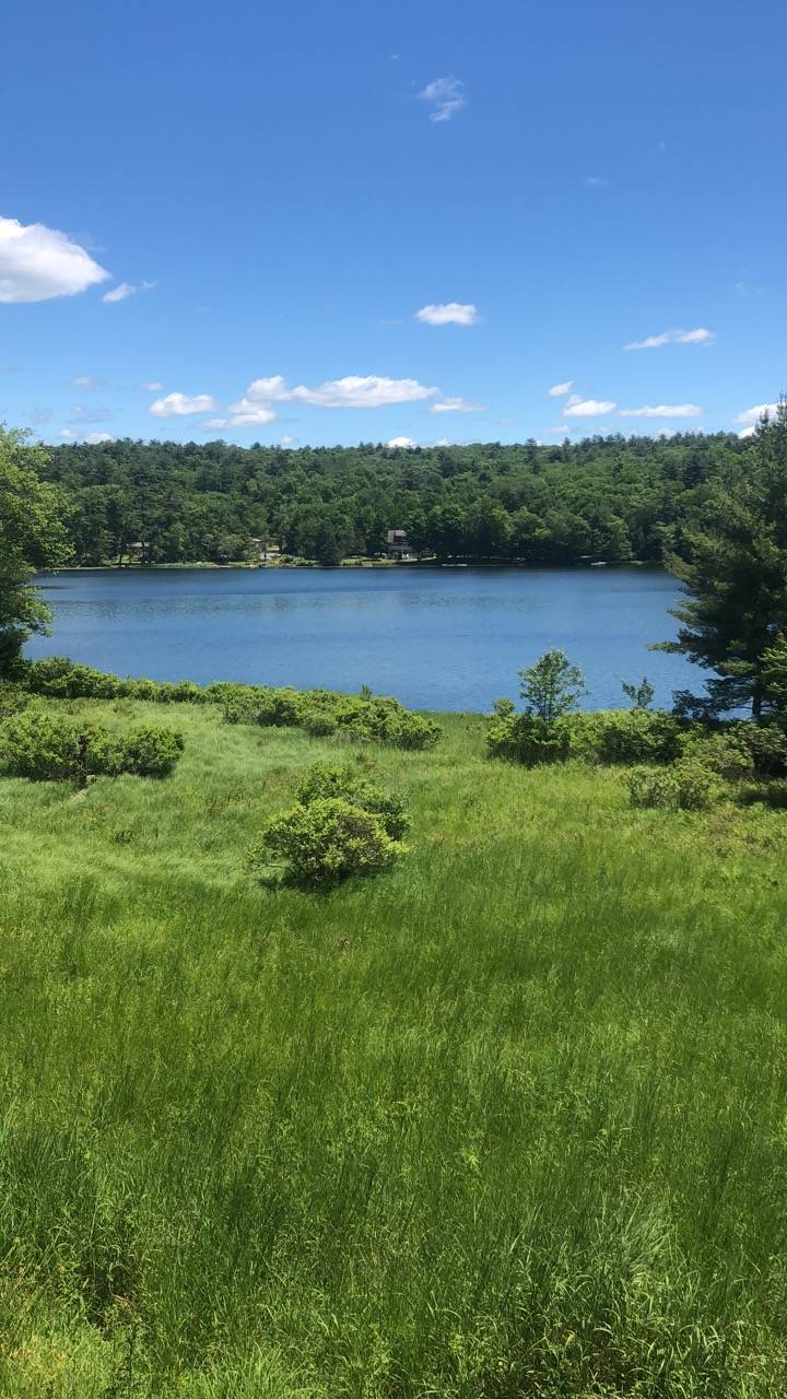 Fantasy Lake View Resort | restaurant | 142 Airport Rd, Yulan, NY 12792, USA | 8455573550 OR +1 845-557-3550