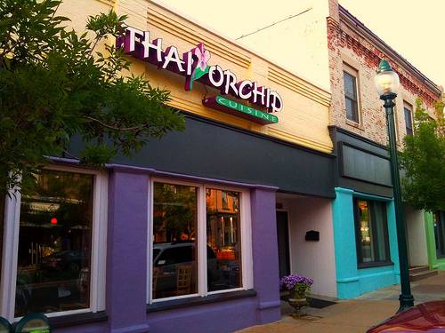 Thai Orchid Cuisine | restaurant | 433 E Mitchell St, Petoskey, MI 49770, USA | 2314879900 OR +1 231-487-9900