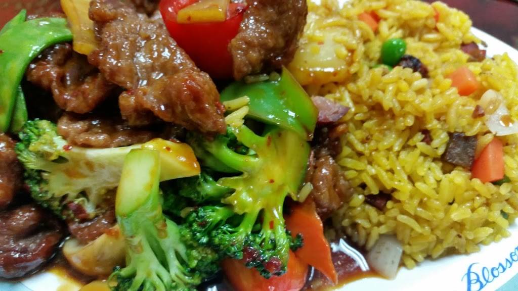 New Garden Wok | meal delivery | 1090 2nd St S, Sartell, MN 56377, USA | 3202518888 OR +1 320-251-8888