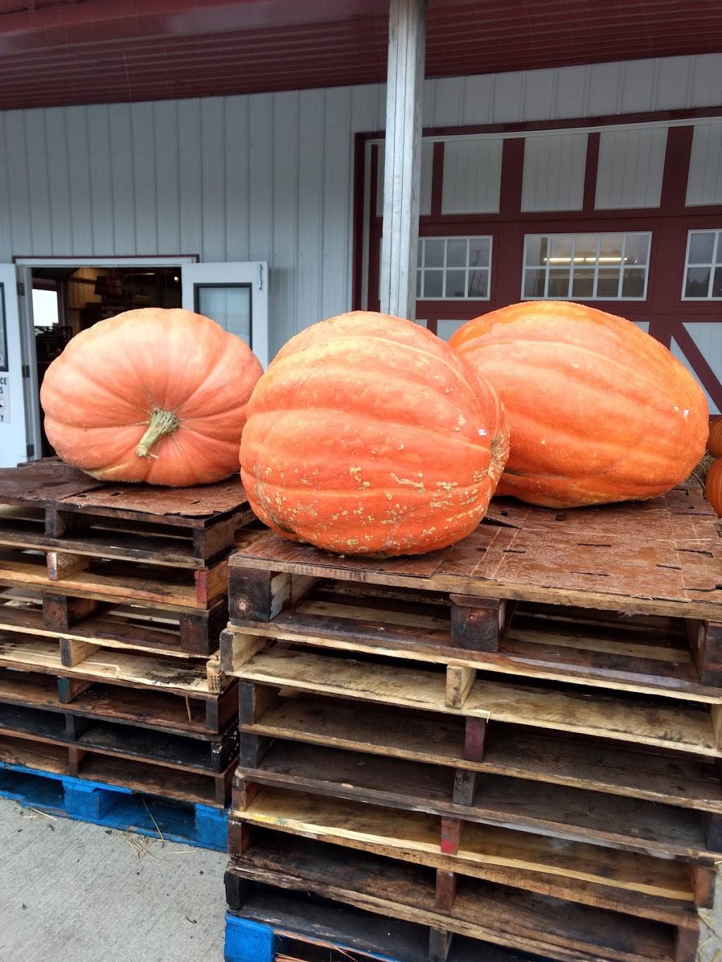 DiCarlos Pizza | Hilliard | restaurant | 4142 Main St, Hilliard, OH 43026, USA | 6147774992 OR +1 614-777-4992