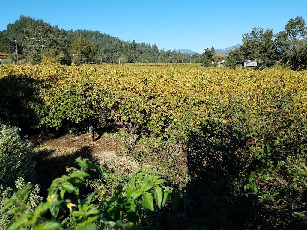 Trinchero Napa Valley Winery | restaurant | 3070 St Helena Hwy, St Helena, CA 94574, USA | 7079631160 OR +1 707-963-1160