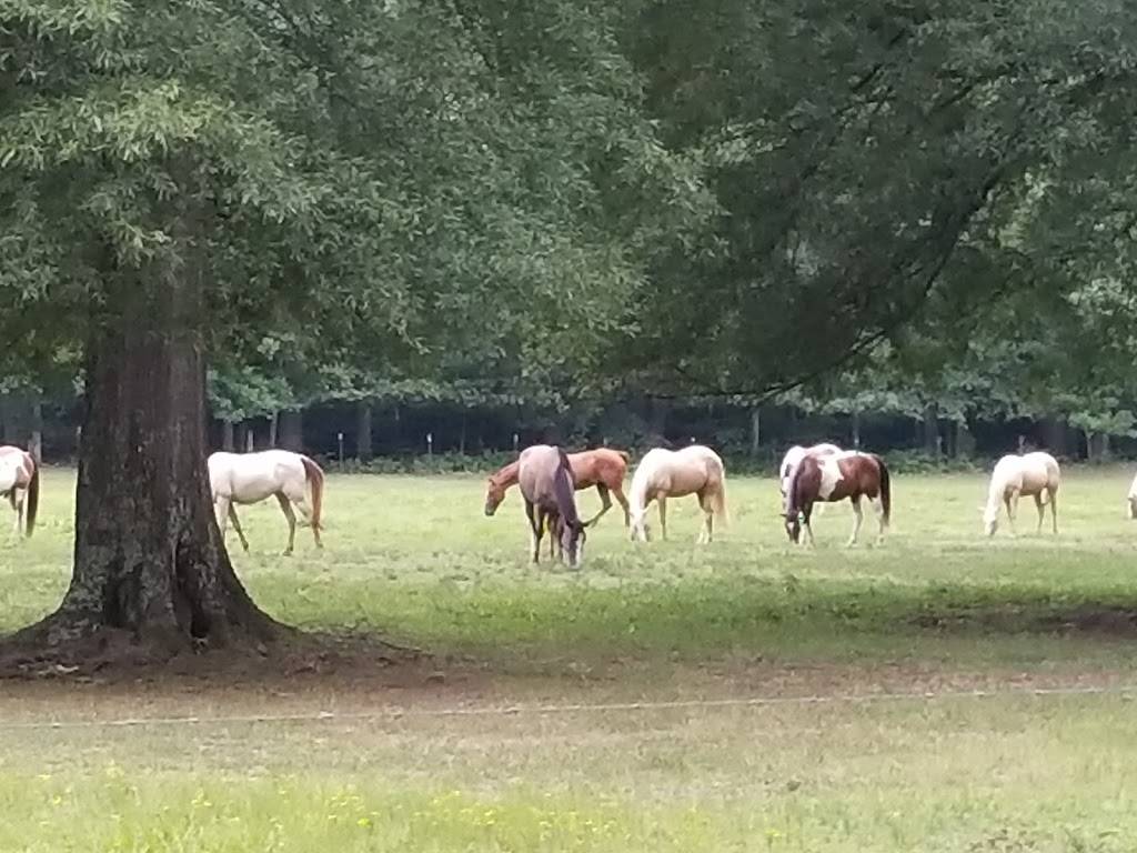 Chickasaw Golf | meal takeaway | 9555 TN-100 Scenic, Henderson, TN 38340, USA | 7319893111 OR +1 731-989-3111