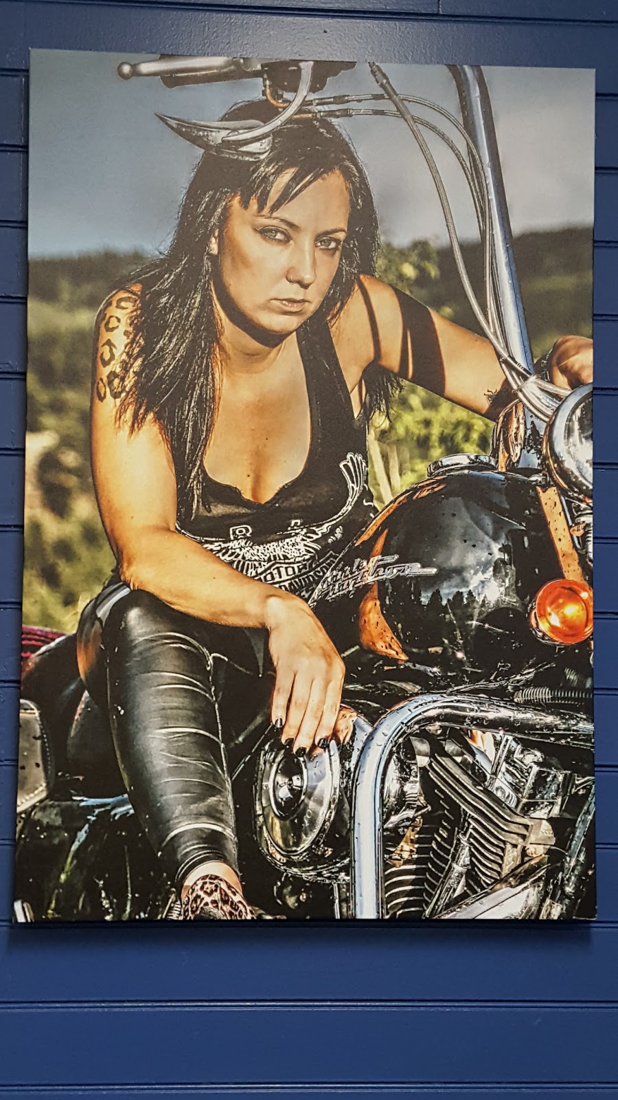 The Sled Haus | restaurant | 209 Glendale Dr, Lead, SD 57754, USA | 6056395322 OR +1 605-639-5322