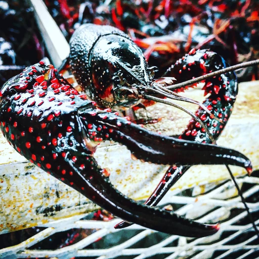 South Coast Seafood & Distribution | restaurant | 6225 Robertson Ave, Nashville, TN 37209, USA | 6158131549 OR +1 615-813-1549