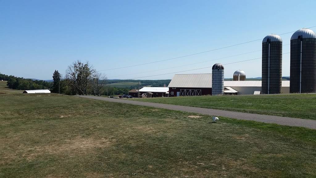 Pheasant Hill Country Club | restaurant | 2771 Waits Rd #6333, Owego, NY 13827, USA | 6076870722 OR +1 607-687-0722