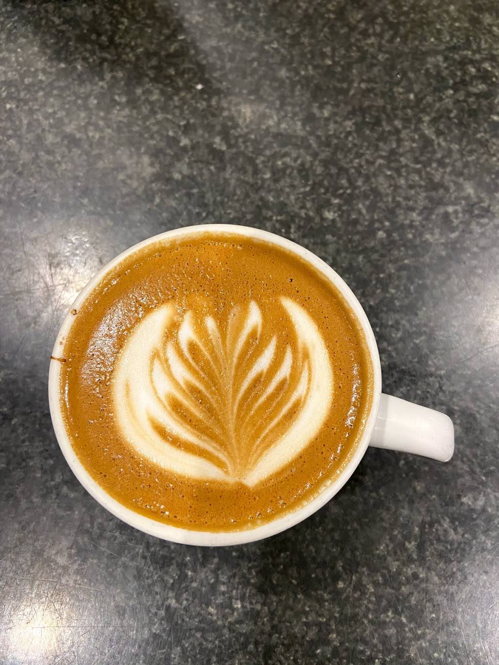 Stellar Coffee Co. | bakery | 3133 E Camelback Rd, Phoenix, AZ 85016, USA | 6027218140 OR +1 602-721-8140