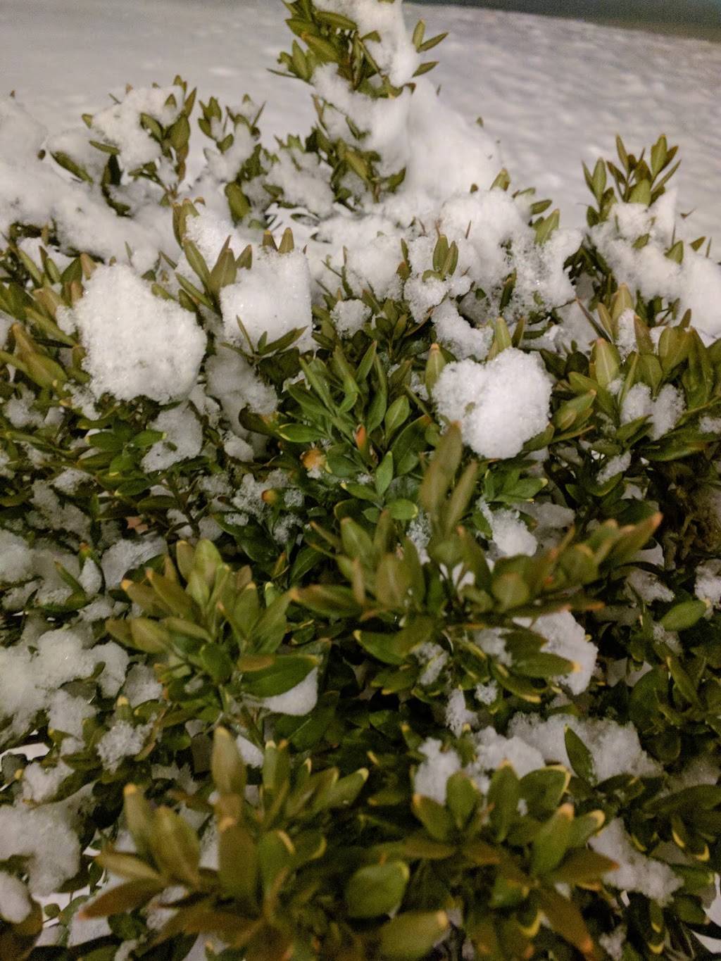 The Paddock Pub | restaurant | 1005 Richardson Rd, Groveport, OH 43125, USA | 6146109688 OR +1 614-610-9688