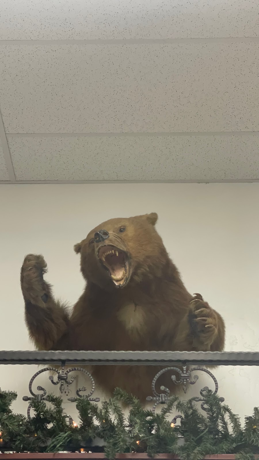 Valley Fuel Travel Plaza | restaurant | 6603 Betty Dr, Visalia, CA 93291, USA | 5596510009 OR +1 559-651-0009