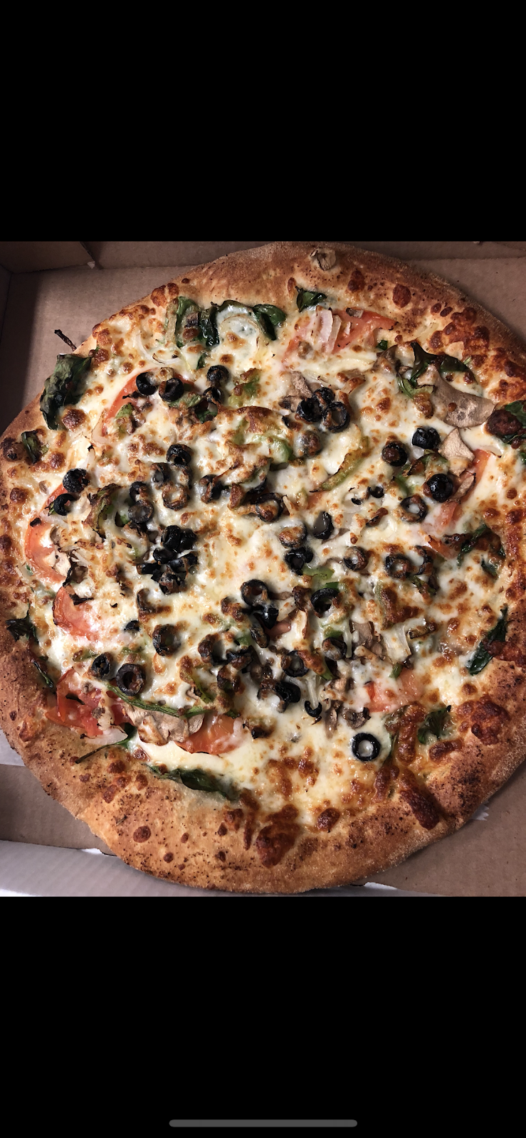 Pizza Ephesus | restaurant | 616 Lincoln Ave, Bellevue, PA 15202, USA | 4127667660 OR +1 412-766-7660