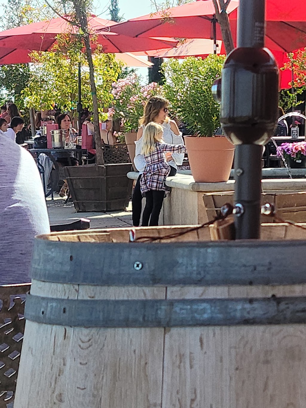 Bistro at Monte de Oro Winery | restaurant | 35820 Rancho California Rd, Temecula, CA 92591, USA | 9514916551 OR +1 951-491-6551