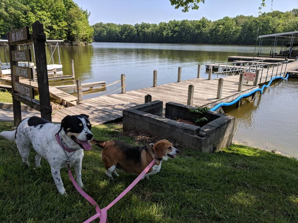 Lakeview Marina | meal takeaway | 1439 Tims Ford Dr, Winchester, TN 37398, USA | 9319676711 OR +1 931-967-6711