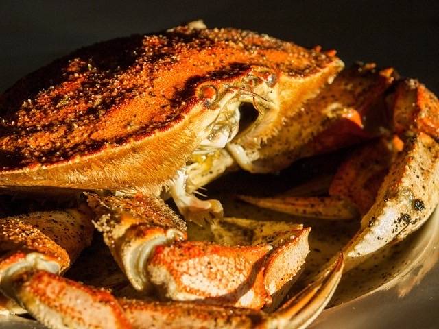 Eat Eat Crawfish | restaurant | 3126 Senter Rd, San Jose, CA 95111, USA | 4086668492 OR +1 408-666-8492