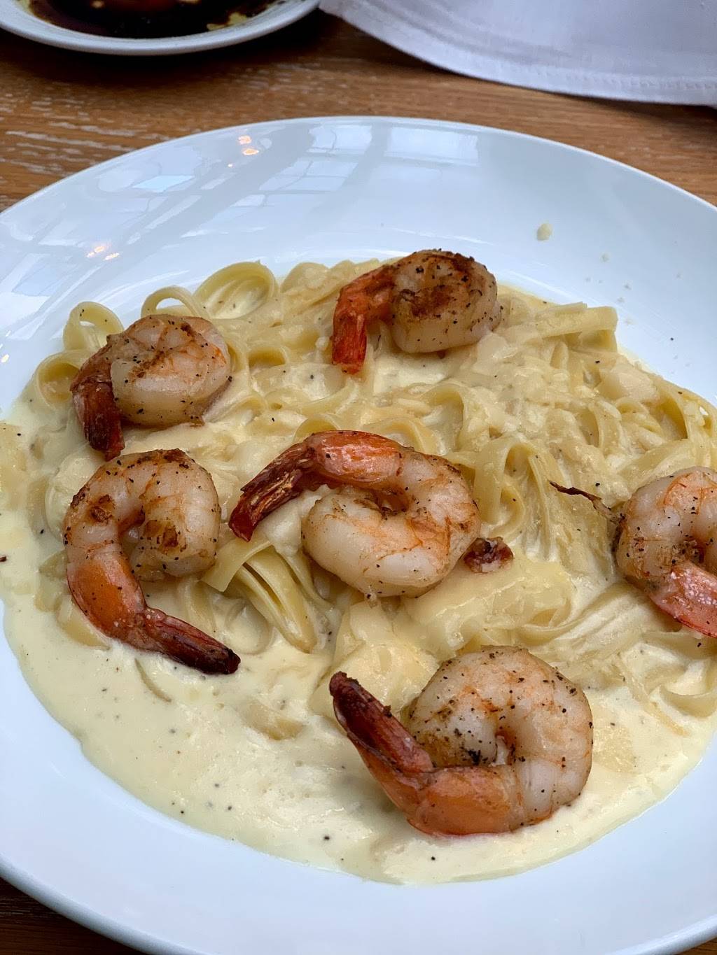 DCOTA CAY Café | cafe | 1855 FL-818, Dania Beach, FL 33004, USA | 9543625512 OR +1 954-362-5512