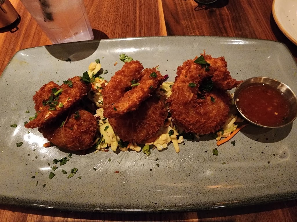 Lazy Dog Restaurant & Bar | restaurant | 5305 Almaden Expy, San Jose, CA 95118, USA | 4087869594 OR +1 408-786-9594