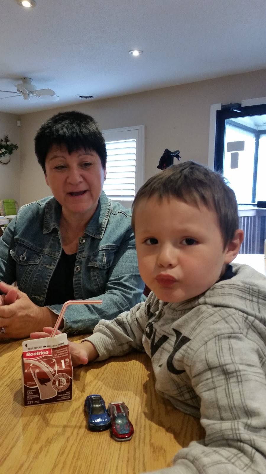 Village Cafe | restaurant | 1875 Fourth Line, Ohsweken, ON N0A 1M0, Canada | 5194450555 OR +1 519-445-0555